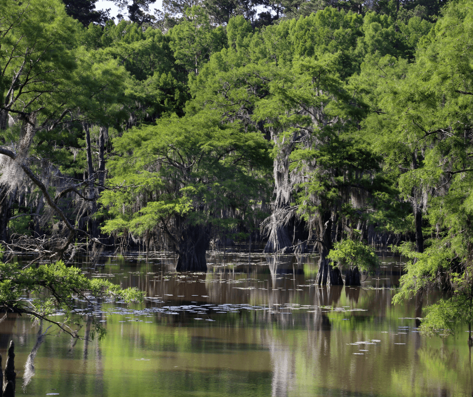 Best State Parks in Texas for Engagement Photos