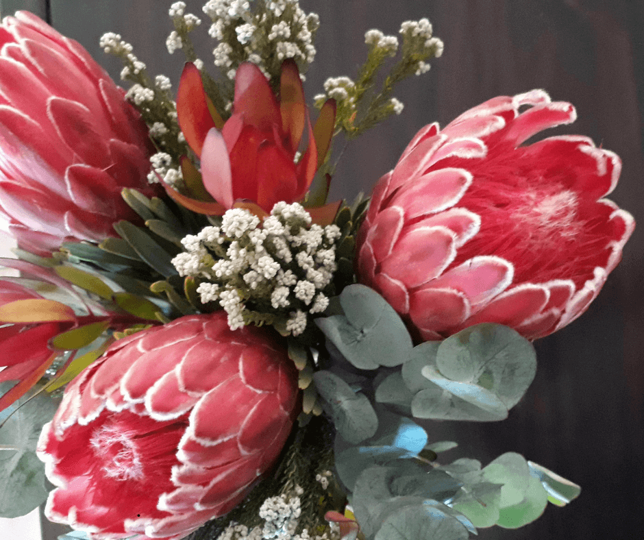 30 Most Popular Wedding Flowers Protea