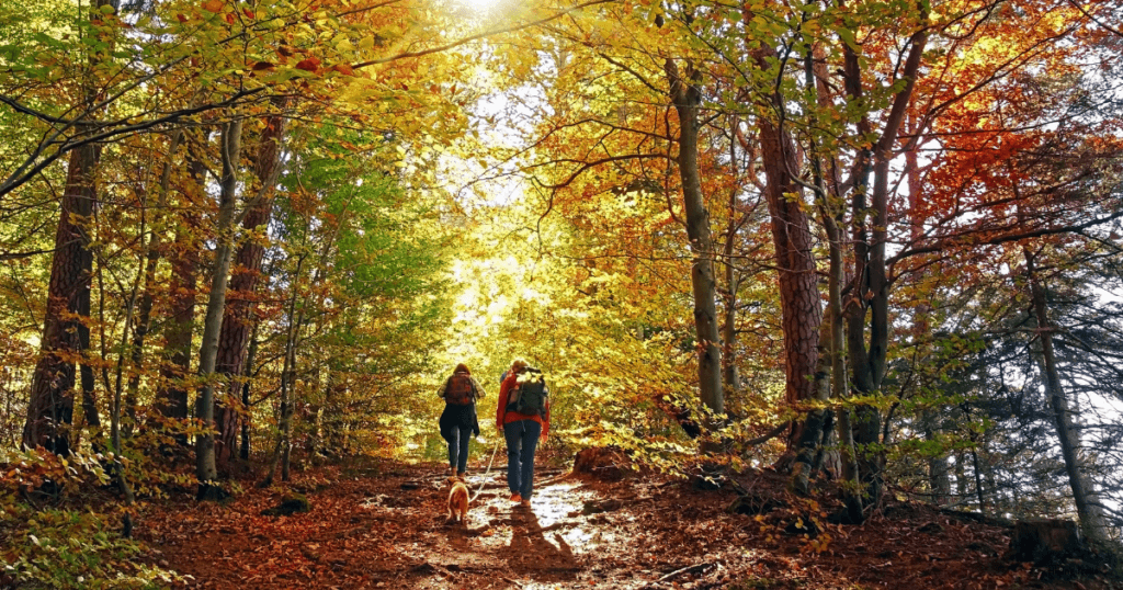 Hiking Trails Near Fort Worth to visit while planning your wedding weekend itinerary at La Bella Luna wedding venue near Fort Worth