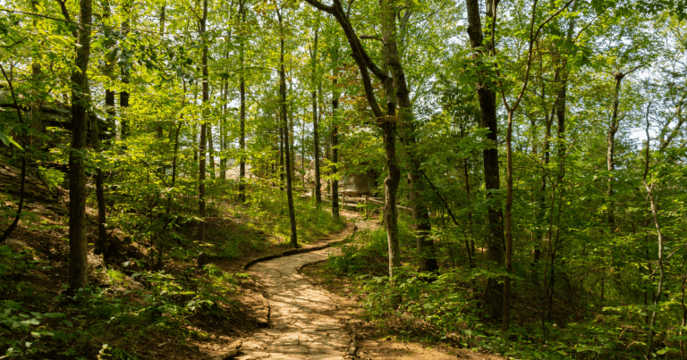 Hiking Trails Near Fort Worth